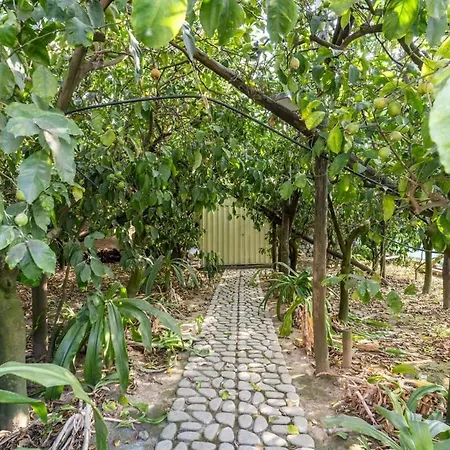 Mimosa Rustic Elegance Views & Pool Villa Massa Lubrense